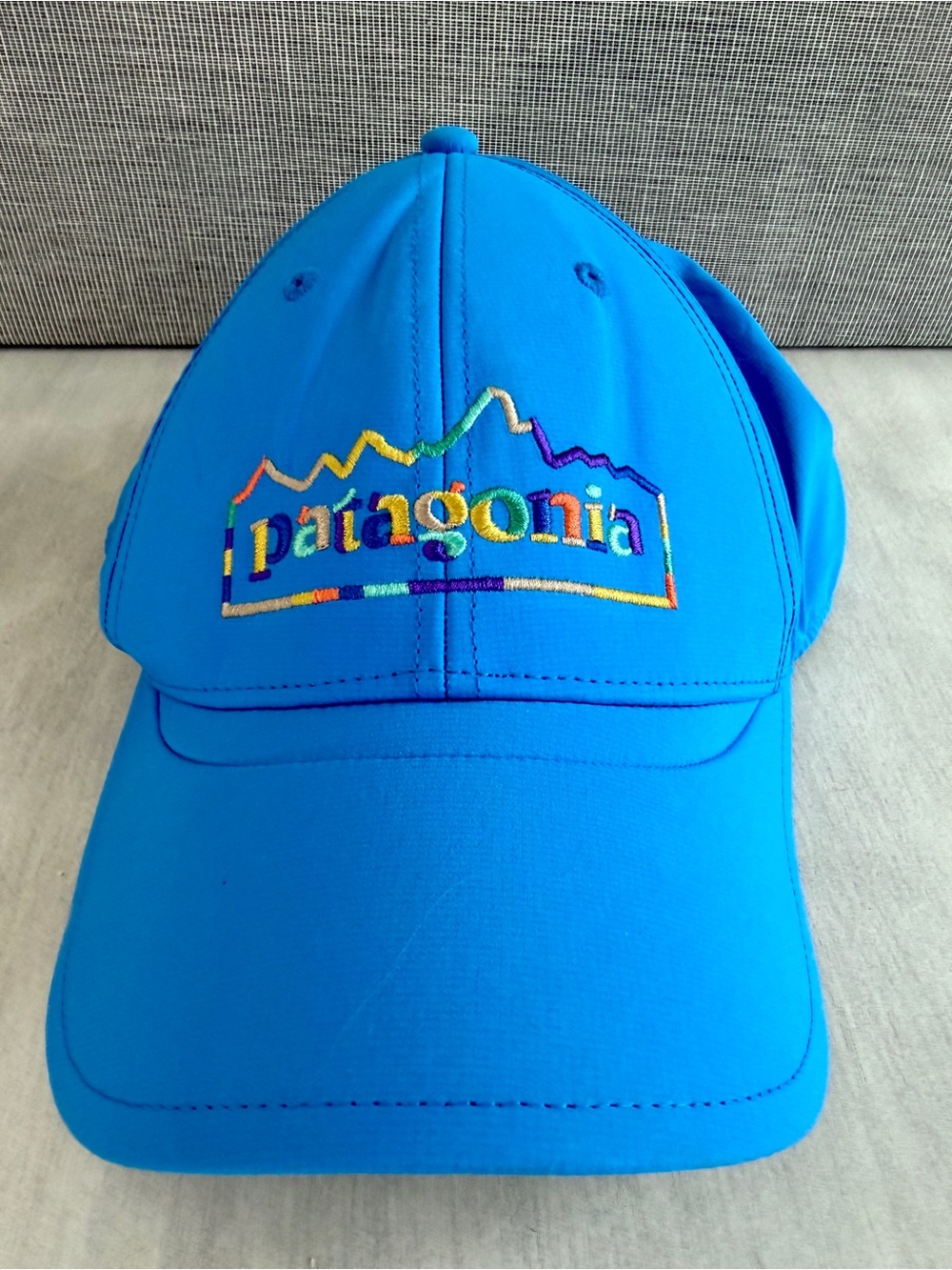 Patagonia Bright Blue Logo Baseball Cap